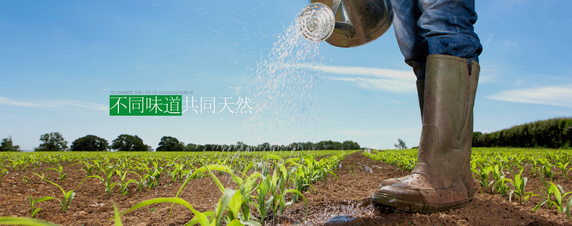 token.im下载-imtoken下载-imtoken钱包app